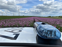 POL-PDNW: Autofahrer unter Drogeneinfluss - Foto: presseportal.de