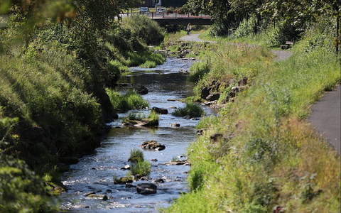 Fluss (Archiv) - Foto: über dts Nachrichtenagentur