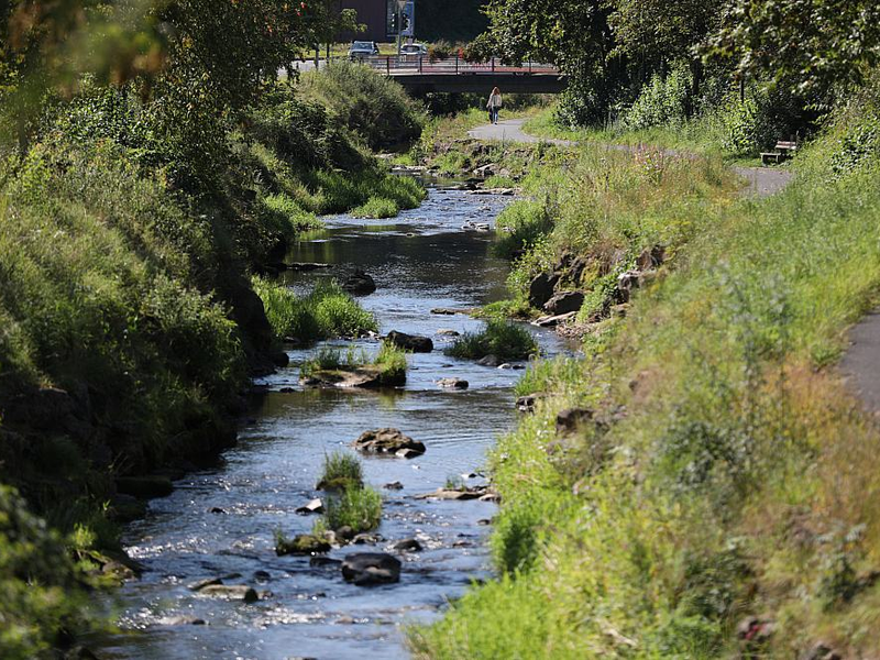 Fluss (Archiv) - Foto: über dts Nachrichtenagentur