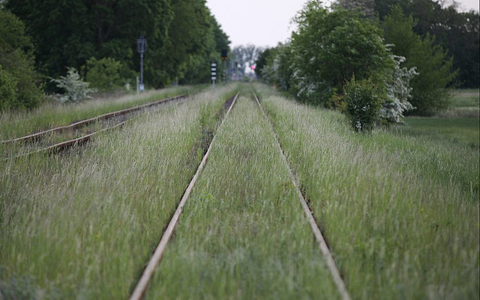 Schienen (Archiv) - Foto: über dts Nachrichtenagentur