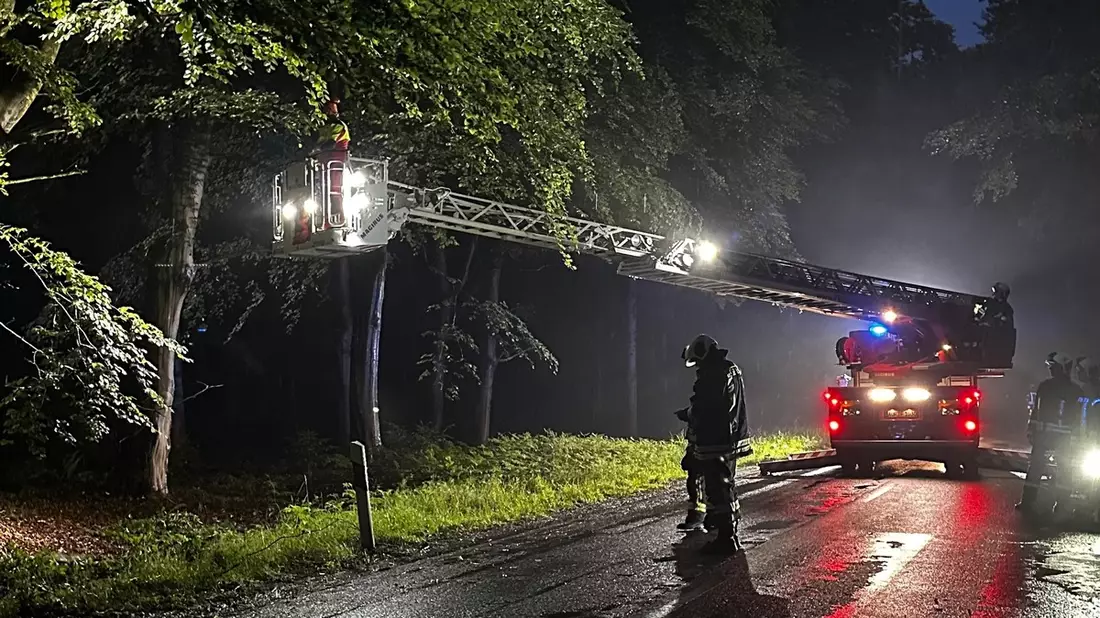 FW-AUR: Äste im Egelser Wald herabgestürzt - Bild: presseportal.de
