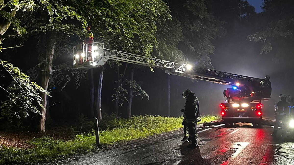 FW-AUR: Äste im Egelser Wald herabgestürzt - Foto: presseportal.de