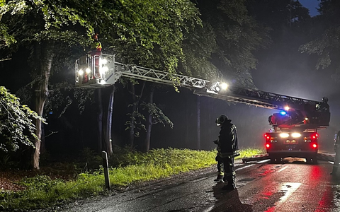 FW-AUR: Äste im Egelser Wald herabgestürzt - Foto: presseportal.de