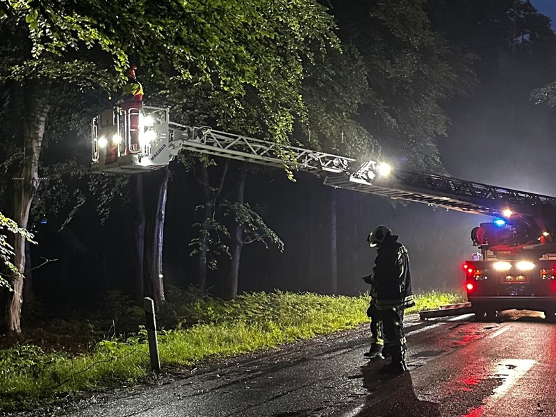 FW-AUR: Äste im Egelser Wald herabgestürzt - Foto: presseportal.de