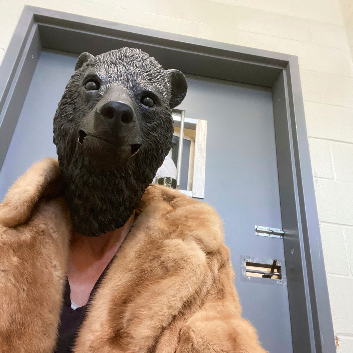 Bärenmaske, Pelzmantel, mit Laub gespickte Kapuzen - die Pfleger ziehen beim Aufpäppeln des Bärenbabys alle Register. - Foto: ---/San Diego Humane Society/dpa