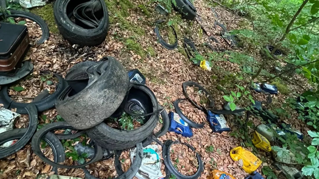 POL-MA: Heddesbach/Rhein-Neckar-Kreis: Unbekannte entsorgen illegal Müll im Wald und verunreinigen den Boden - Zeugenaufruf - Bild: presseportal.de