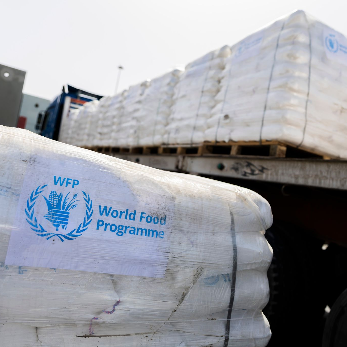 UN-Organisationen lehnen eine Beteiligung an dem neuen Verteilungssystem Israels ab. (Archivbild)  - Foto: Christoph Soeder/dpa