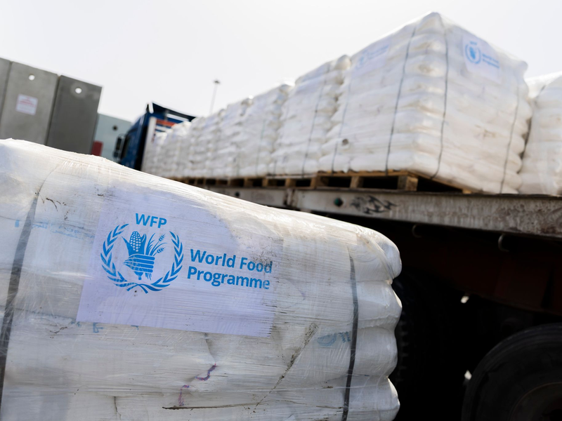 Das Welternährungsprogramm soll mehr Geld erhalten. (Archivbild) - Foto: Christoph Soeder/dpa