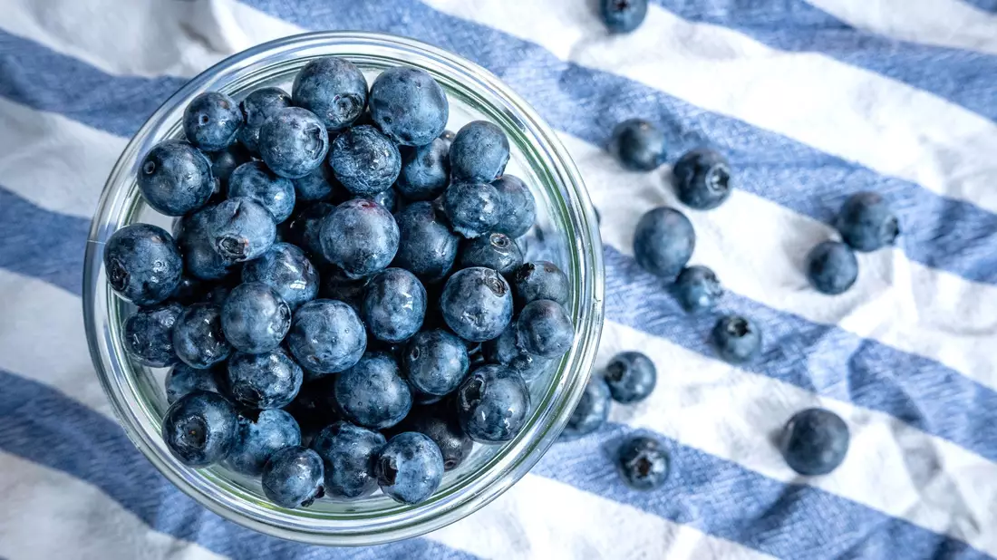 Klein, blau, erfolgreich als Snack: die Heidelbeere. Sie boomt immer noch. (Archivfoto) - Bild: Sina Schuldt/dpa