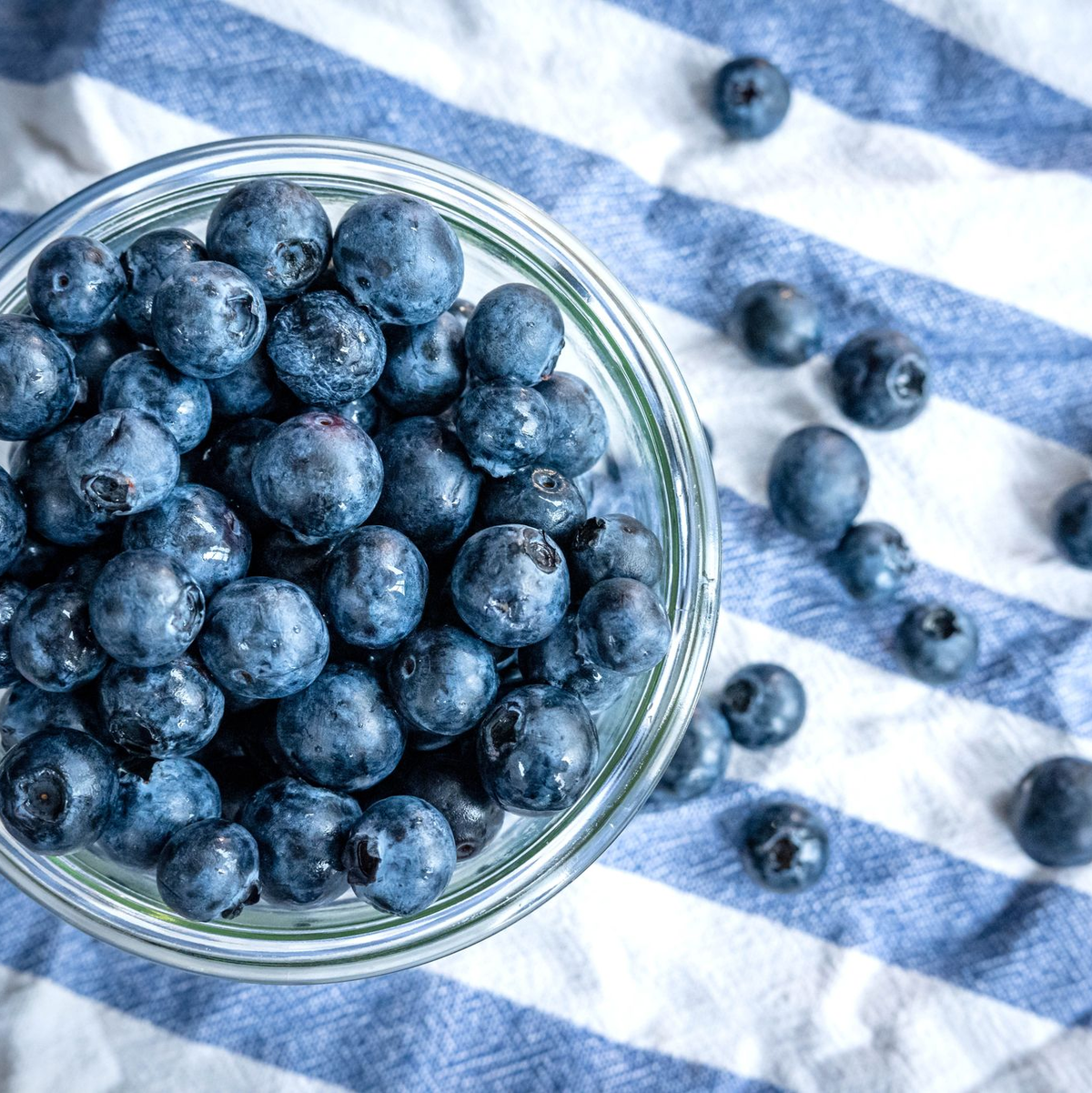 Klein, blau, erfolgreich als Snack: die Heidelbeere. Sie boomt immer noch. (Archivfoto) - Foto: Sina Schuldt/dpa