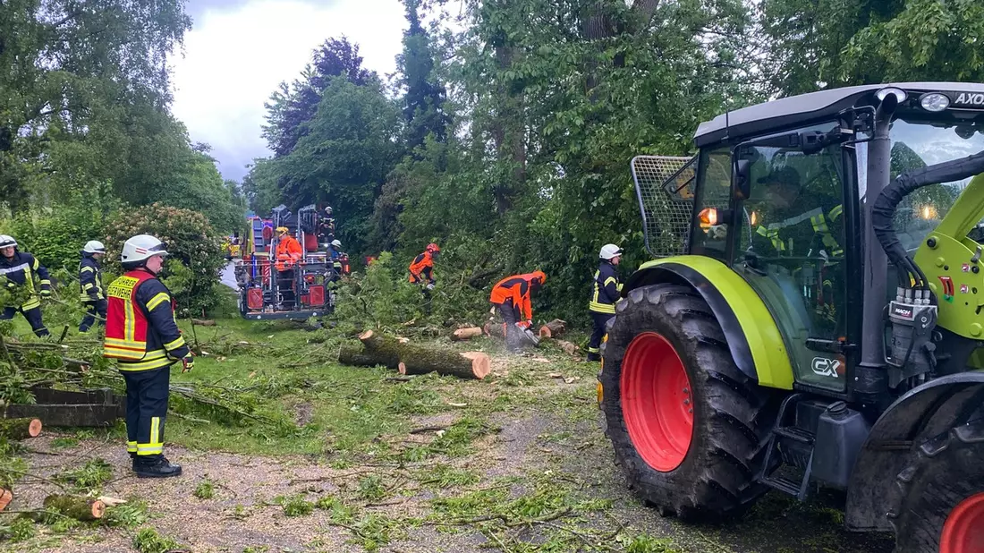 FF Olsberg: Feuerwehr Olsberg fällt über 100 Jahre alte Esche nach Blitzeinschlag - Bild: presseportal.de