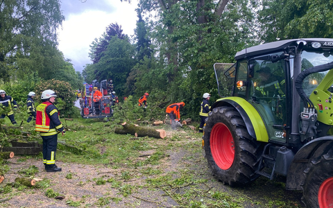 FF Olsberg: Feuerwehr Olsberg fällt über 100 Jahre alte Esche nach Blitzeinschlag - Foto: presseportal.de