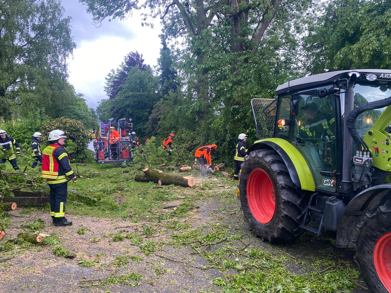 FF Olsberg: Feuerwehr Olsberg fällt über 100 Jahre alte Esche nach Blitzeinschlag - Foto: presseportal.de