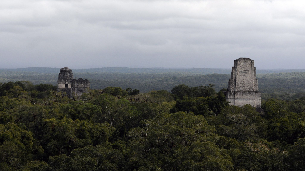 In der Nähe der Unesco-Weltkulturerbestätte Tikal wurde eine rund 2.900 Jahre alte Maya-Stätte entdeckt. - Foto: Sandra Sebastian/EFE via epa/dpa