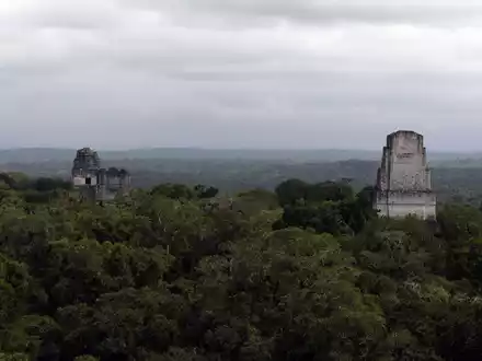 In der Nähe der Unesco-Weltkulturerbestätte Tikal wurde eine rund 2.900 Jahre alte Maya-Stätte entdeckt. - Foto: Sandra Sebastian/EFE via epa/dpa