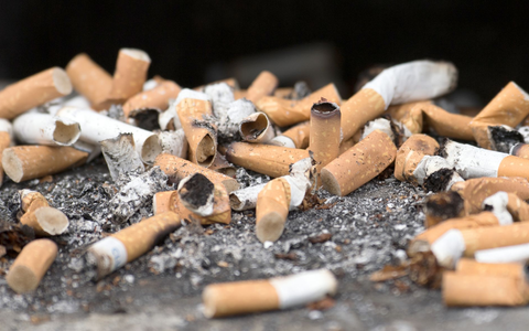 Das Rauchen ist in Frankreich in vielen öffentlichen Bereichen bald verboten (Symbolbild). - Foto: Ralf Hirschberger/dpa-Zentralbild/dpa