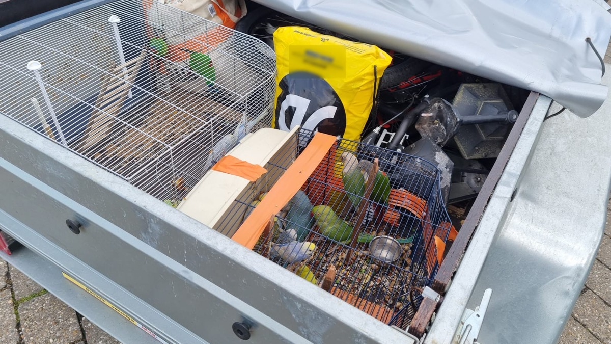 BPOL NRW: Bundespolizei stoppt illegalen Tiertransport von Sittichen - Foto: presseportal.de