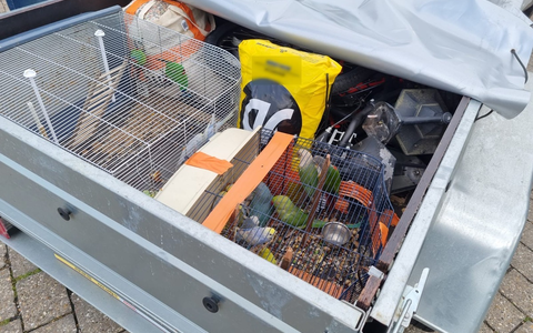 BPOL NRW: Bundespolizei stoppt illegalen Tiertransport von Sittichen - Foto: presseportal.de BPOL NRW: Bundespolizei stoppt illegalen Tiertransport von Sittichen - Foto: presseportal.de
