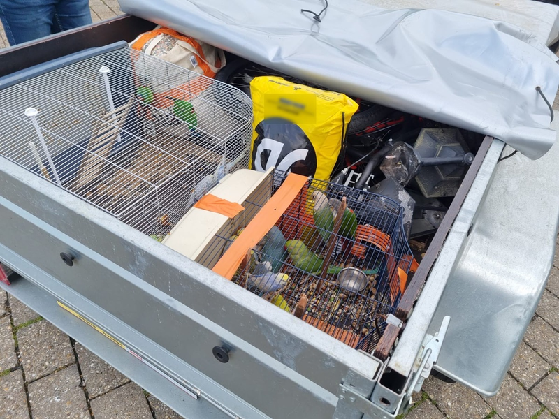 BPOL NRW: Bundespolizei stoppt illegalen Tiertransport von Sittichen - Foto: presseportal.de