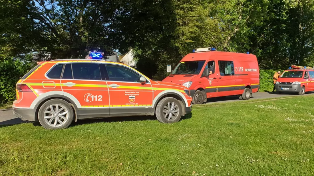 FW-BN: Manövrierunfähiges Binnenschiff ruft die Feuerwehr auf den Plan - Bild: presseportal.de