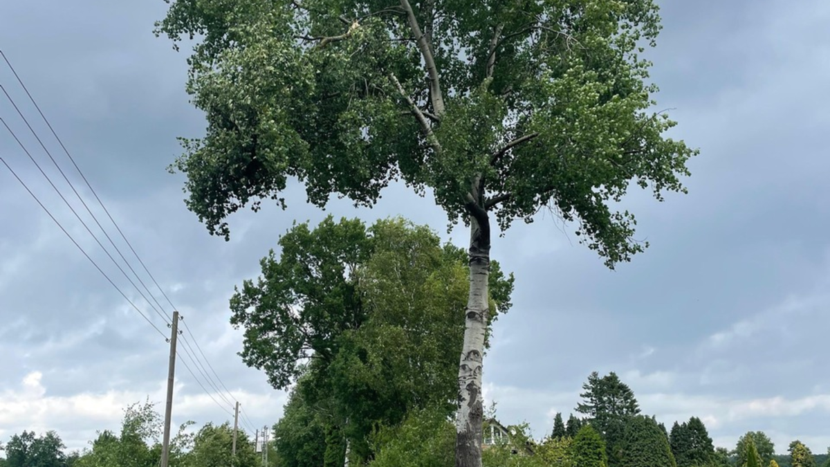 FW-Schermbeck: Zwei Einsätze am Mittwoch - Foto: presseportal.de