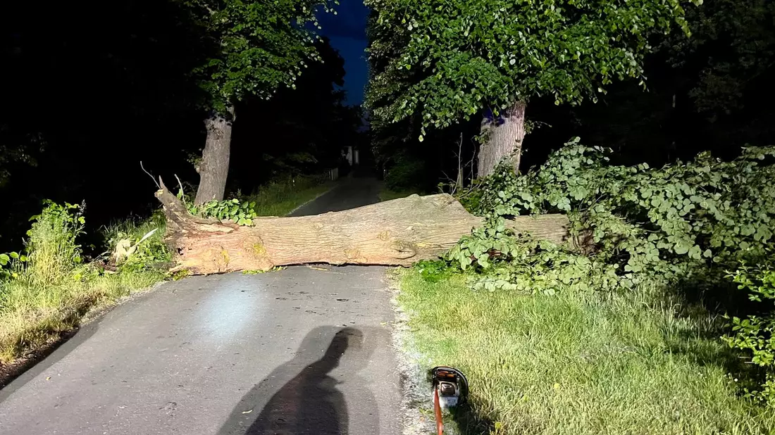 FW Hünxe: Baum blockierte Fahrbahn - Bild: presseportal.de
