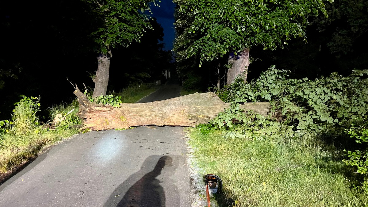 FW Hünxe: Baum blockierte Fahrbahn - Foto: presseportal.de