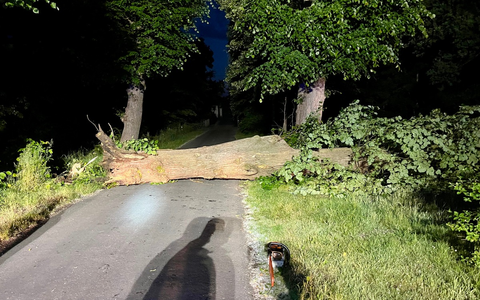 FW Hünxe: Baum blockierte Fahrbahn - Foto: presseportal.de