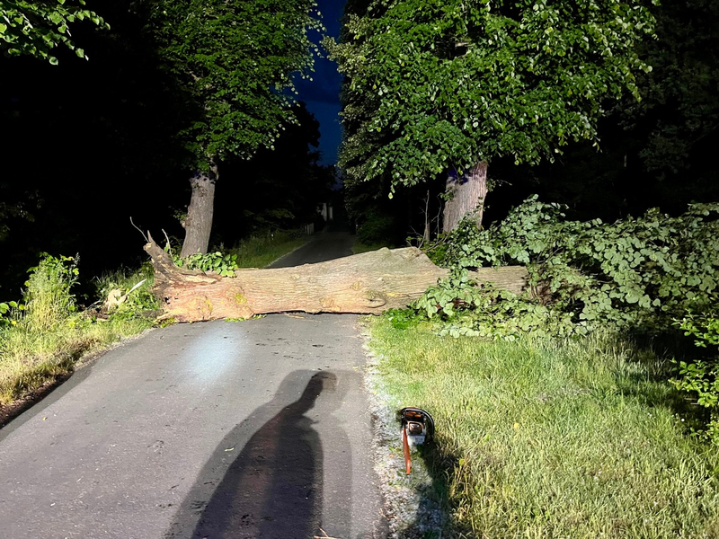 FW Hünxe: Baum blockierte Fahrbahn - Foto: presseportal.de