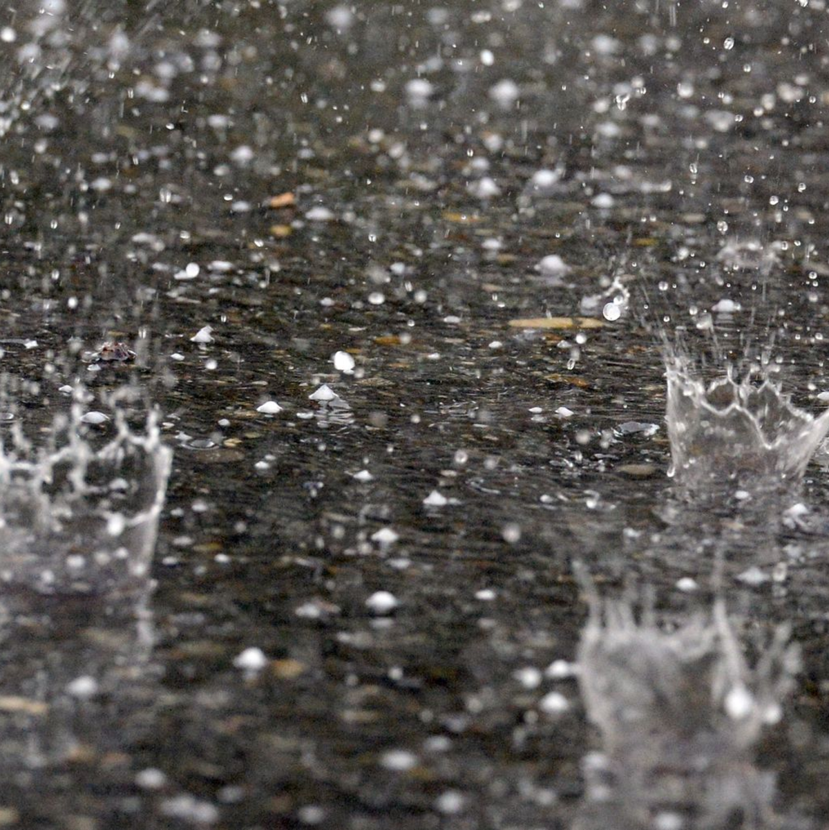 Wenn die ersten Regentropfen auf den Boden aufprallen, gerät ein Duft in die Luft. (Archivbild) - Foto: Patrick Seeger/dpa