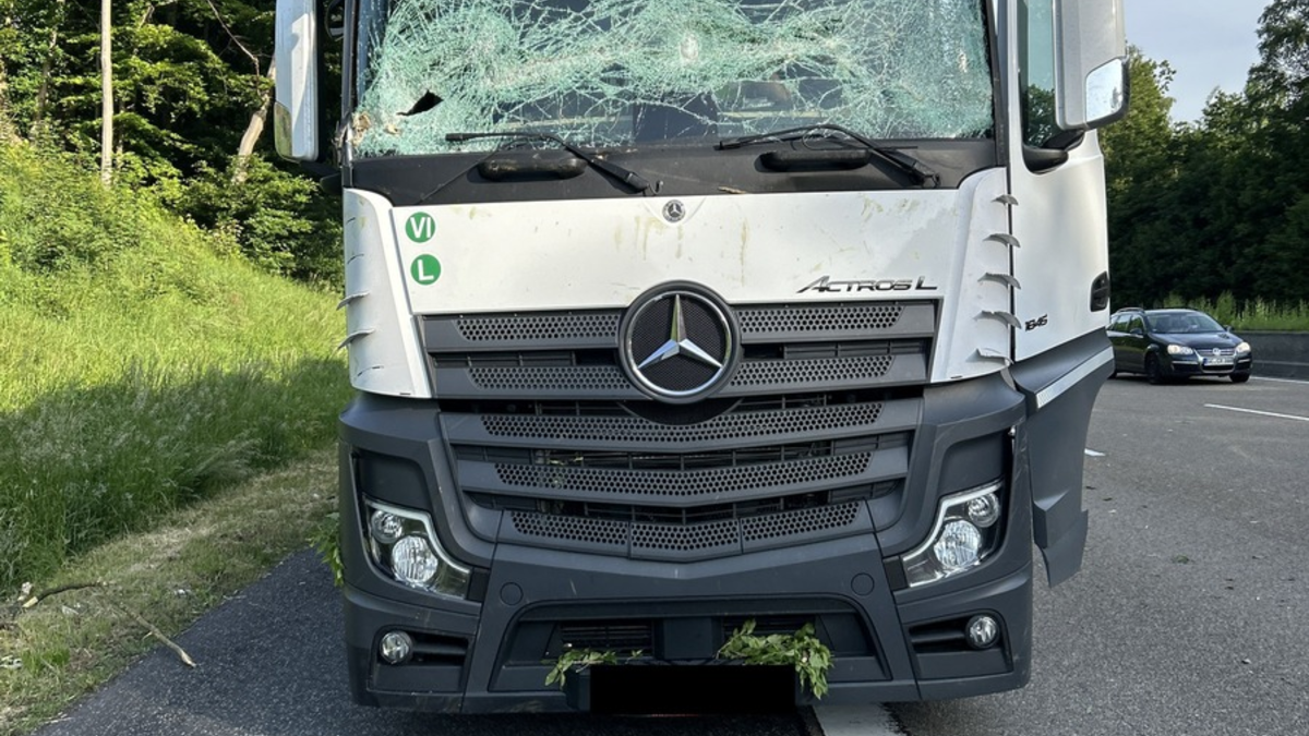 POL-OH: Umgefallener Baum auf Autobahn A7 zertrümmert Windschutzscheibe von LKW - Foto: presseportal.de