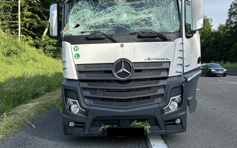 POL-OH: Umgefallener Baum auf Autobahn A7 zertrümmert Windschutzscheibe von LKW - Foto: presseportal.de POL-OH: Umgefallener Baum auf Autobahn A7 zertrümmert Windschutzscheibe von LKW - Foto: presseportal.de