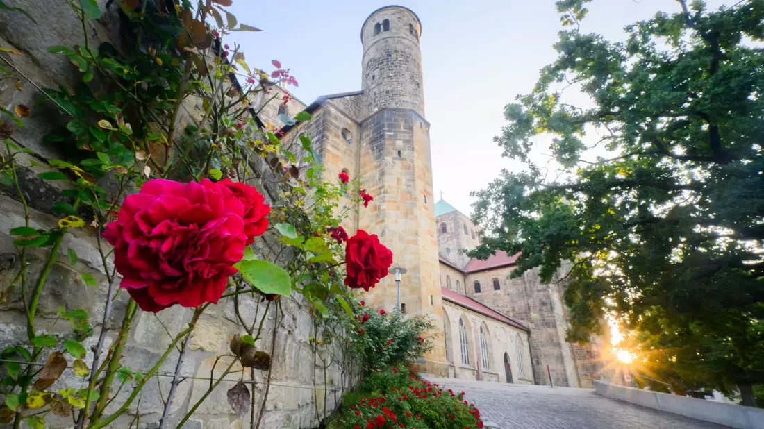 Die St. Michaeliskirche gehört zum Unesco-Weltkulturerbe in Hildesheim. (Archivbild) - Bild: Julian Stratenschulte/dpa