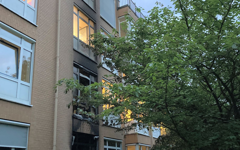 Das Feuer in dem Hamburger Krankenhaus wurde wohl absichtlich gelegt. Ein Patient hat ersten Erkenntnissen zufolge sein Kissen in Brand gesteckt. - Foto: Bernhard Sprengel/dpa Das Feuer in dem Hamburger Krankenhaus wurde wohl absichtlich gelegt. Ein Patient hat ersten Erkenntnissen zufolge sein Kissen in Brand gesteckt. - Foto: Bernhard Sprengel/dpa