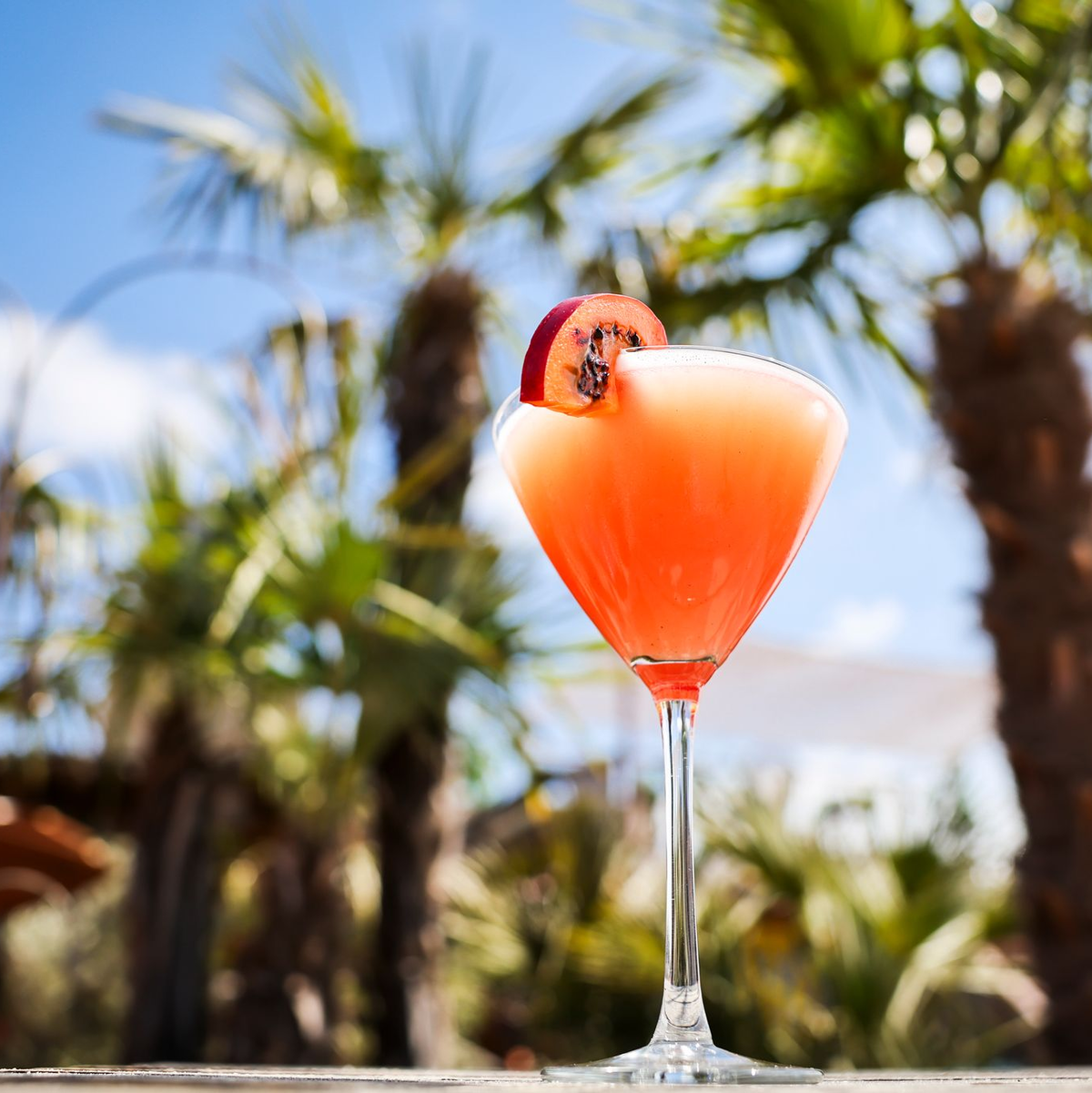 Ein Passionsfrucht Martini (auch Pornstar Martini oder Maverick Martini genannt) steht unter Palmen auf einem Tisch in einer Strandbar. - Foto: Christian Charisius/dpa