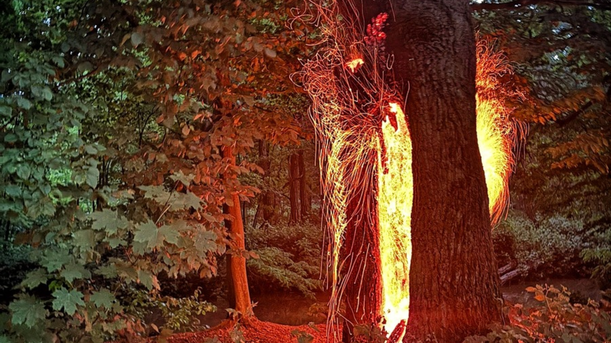 FW-NE: Unwetterbilanz - Neuss bleibt weitgehend verschont | Drei wetterbedingte Einsätze im Stadtgebiet - Foto: presseportal.de