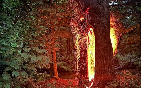 FW-NE: Unwetterbilanz - Neuss bleibt weitgehend verschont | Drei wetterbedingte Einsätze im Stadtgebiet - Foto: presseportal.de