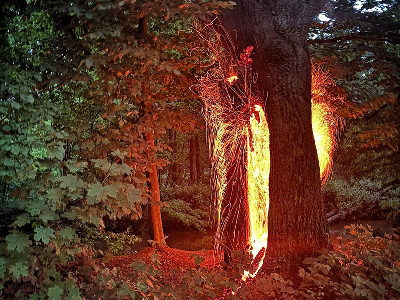 FW-NE: Unwetterbilanz - Neuss bleibt weitgehend verschont | Drei wetterbedingte Einsätze im Stadtgebiet - Foto: presseportal.de
