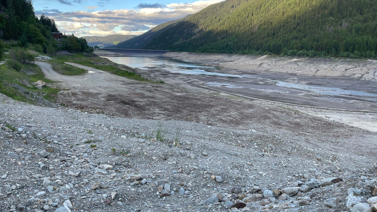Wegen des massiven Wasserverlusts gibt es Sorgen um den Fischbestand. - Foto: Carmen Kollmann/LPA/dpa