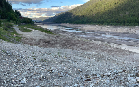 Wegen des massiven Wasserverlusts gibt es Sorgen um den Fischbestand. - Foto: Carmen Kollmann/LPA/dpa Wegen des massiven Wasserverlusts gibt es Sorgen um den Fischbestand. - Foto: Carmen Kollmann/LPA/dpa