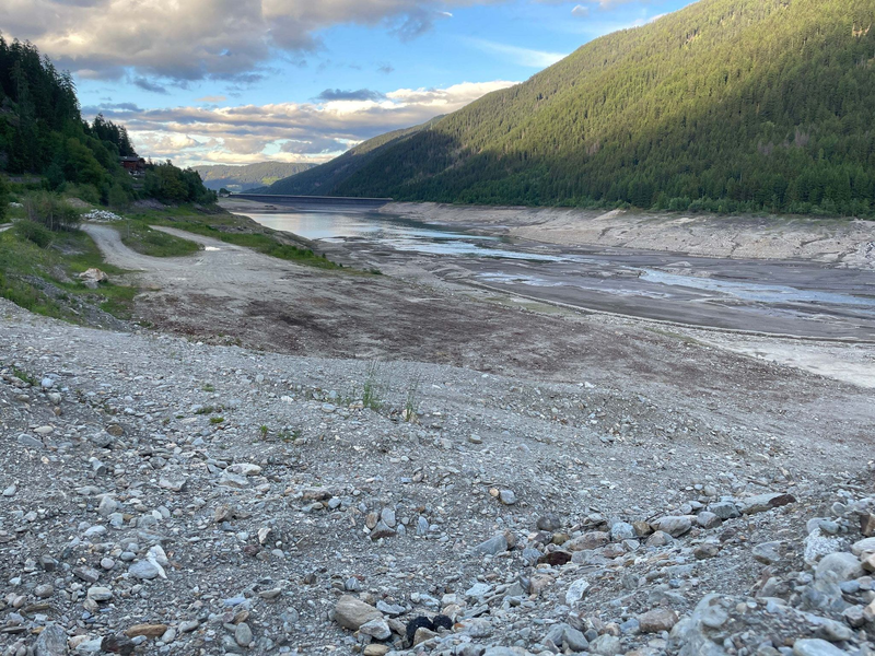 Wegen des massiven Wasserverlusts gibt es Sorgen um den Fischbestand. - Foto: Carmen Kollmann/LPA/dpa