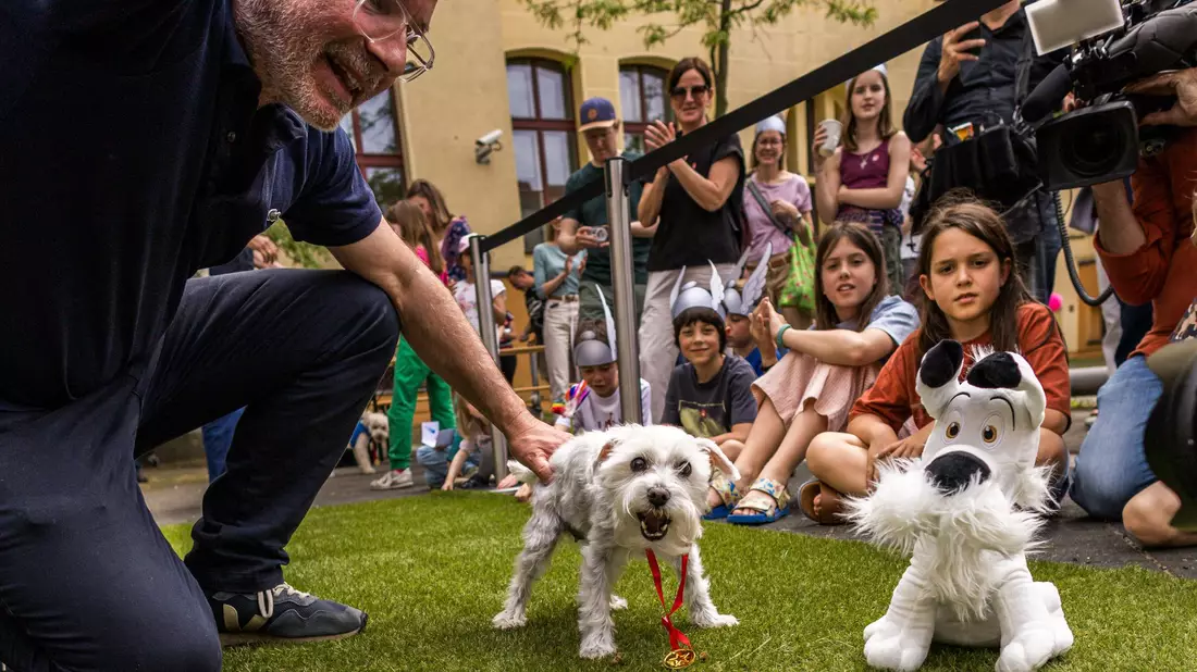 Der beste Idefix-Doppelgänger? Sieger-Hund Polly erhielt die Idefix-Lookalike-Contest-Urkunde. (Archivbild) - Bild: Carsten Koall/dpa