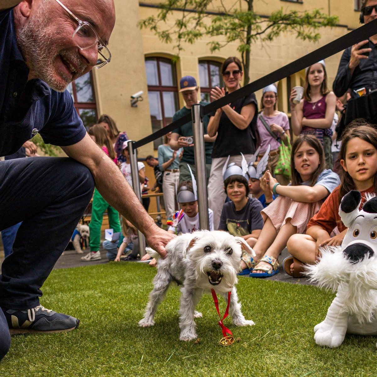 Der beste Idefix-Doppelgänger? Sieger-Hund Polly erhielt die Idefix-Lookalike-Contest-Urkunde. (Archivbild) - Foto: Carsten Koall/dpa