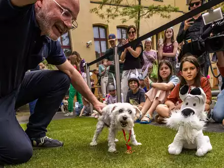 Der beste Idefix-Doppelgänger? Sieger-Hund Polly erhielt die Idefix-Lookalike-Contest-Urkunde. (Archivbild) - Foto: Carsten Koall/dpa