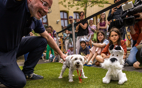 Der beste Idefix-Doppelgänger? Sieger-Hund Polly erhielt die Idefix-Lookalike-Contest-Urkunde. (Archivbild) - Foto: Carsten Koall/dpa