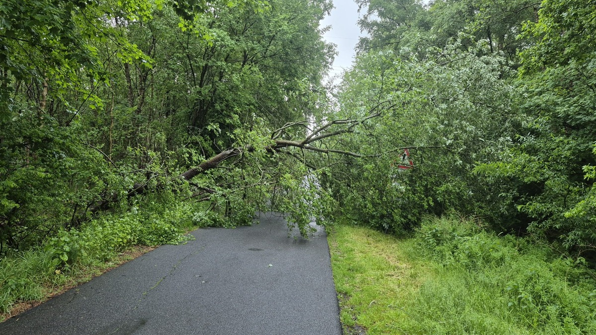 FFW Schiffdorf: Viel zu tun für die ehrenamtlichen Brandschützer der Gemeinde Schiffdorf - sechs Einsätze in der vergangenen Woche - Foto: presseportal.de