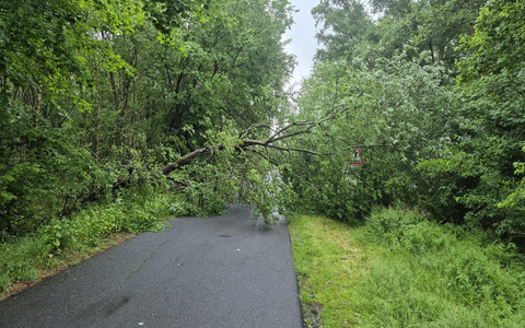 FFW Schiffdorf: Viel zu tun für die ehrenamtlichen Brandschützer der Gemeinde Schiffdorf - sechs Einsätze in der vergangenen Woche - Foto: presseportal.de