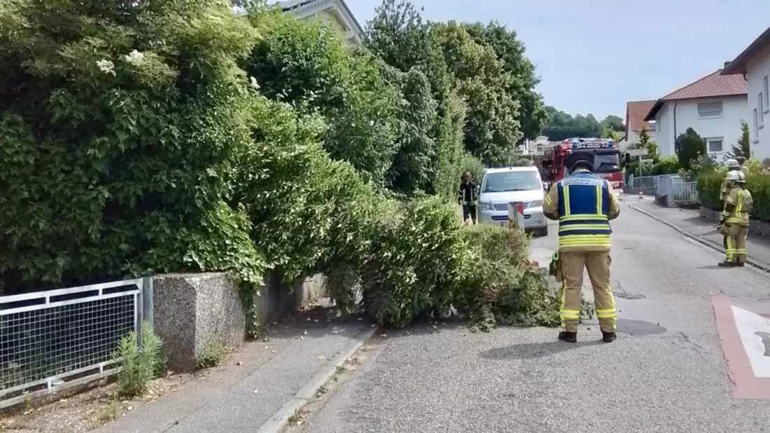 FW Weinheim: Gewitter sorgt für zahlreiche Einsätze der Weinheimer Feuerwehr - Bild: presseportal.de