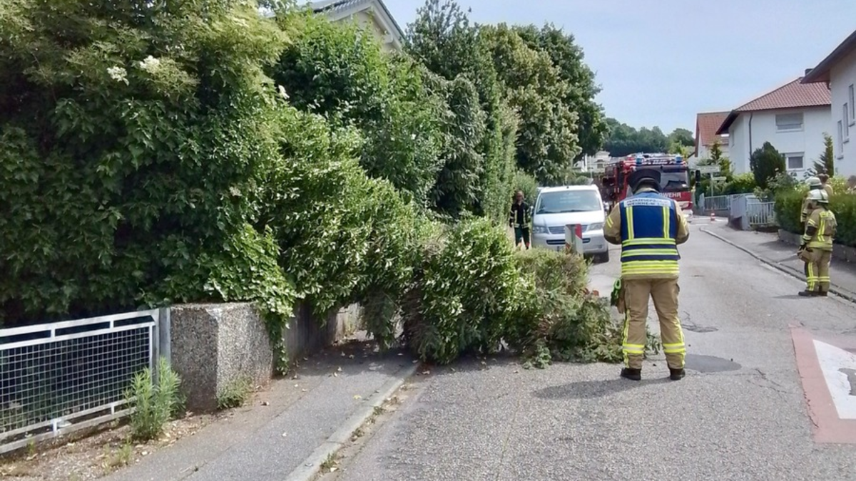 FW Weinheim: Gewitter sorgt für zahlreiche Einsätze der Weinheimer Feuerwehr - Foto: presseportal.de