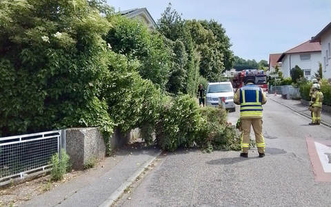 FW Weinheim: Gewitter sorgt fĂŒr zahlreiche EinsĂ€tze der Weinheimer Feuerwehr - Foto: presseportal.de FW Weinheim: Gewitter sorgt fĂŒr zahlreiche EinsĂ€tze der Weinheimer Feuerwehr - Foto: presseportal.de